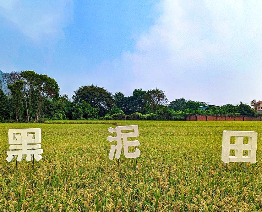 黑泥田 圖片